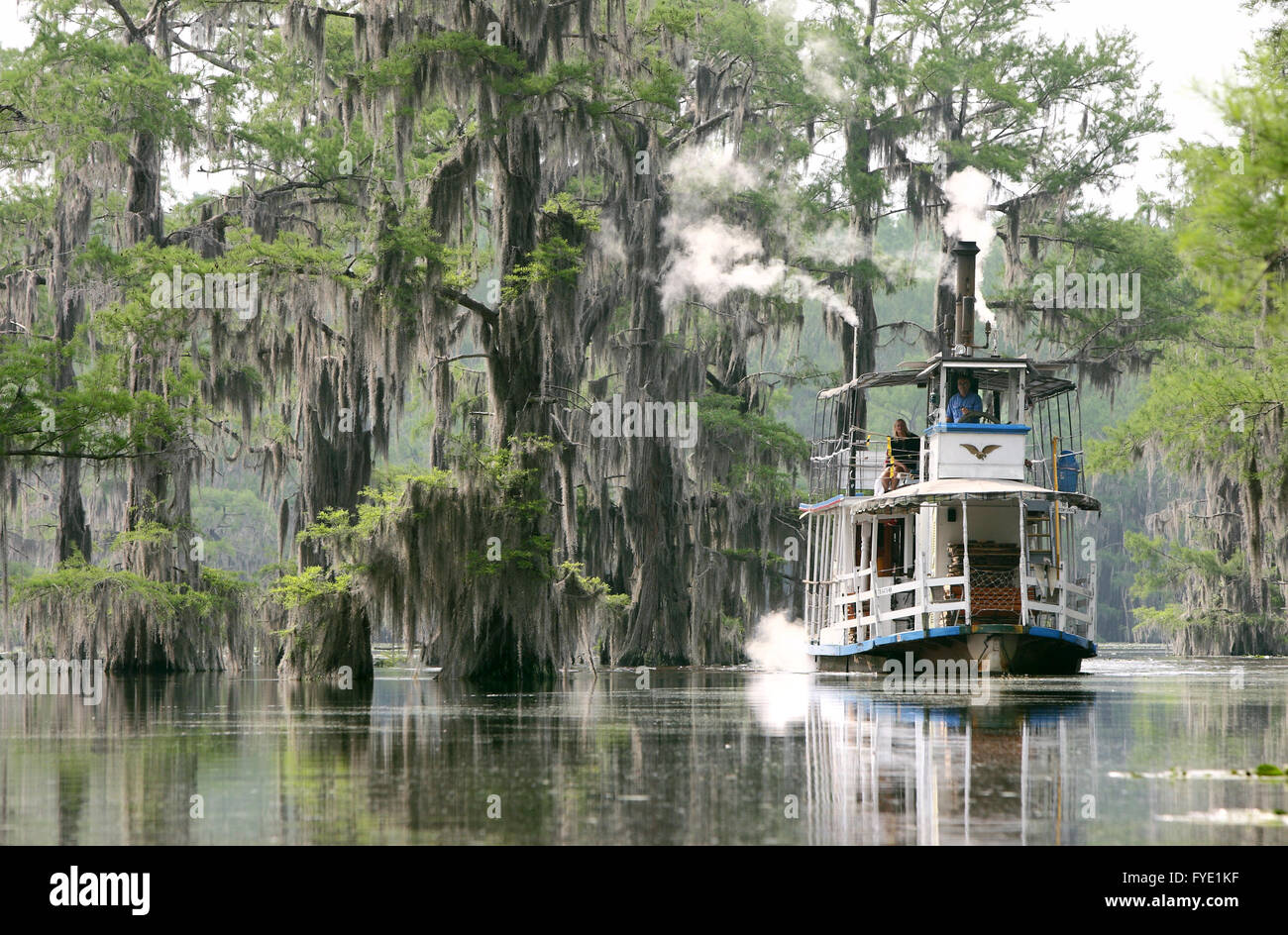 La roue à aubes bateau fantôme gracieux d'une visite guidée de Caddo Lake près de l'incertain, au Texas. Banque D'Images