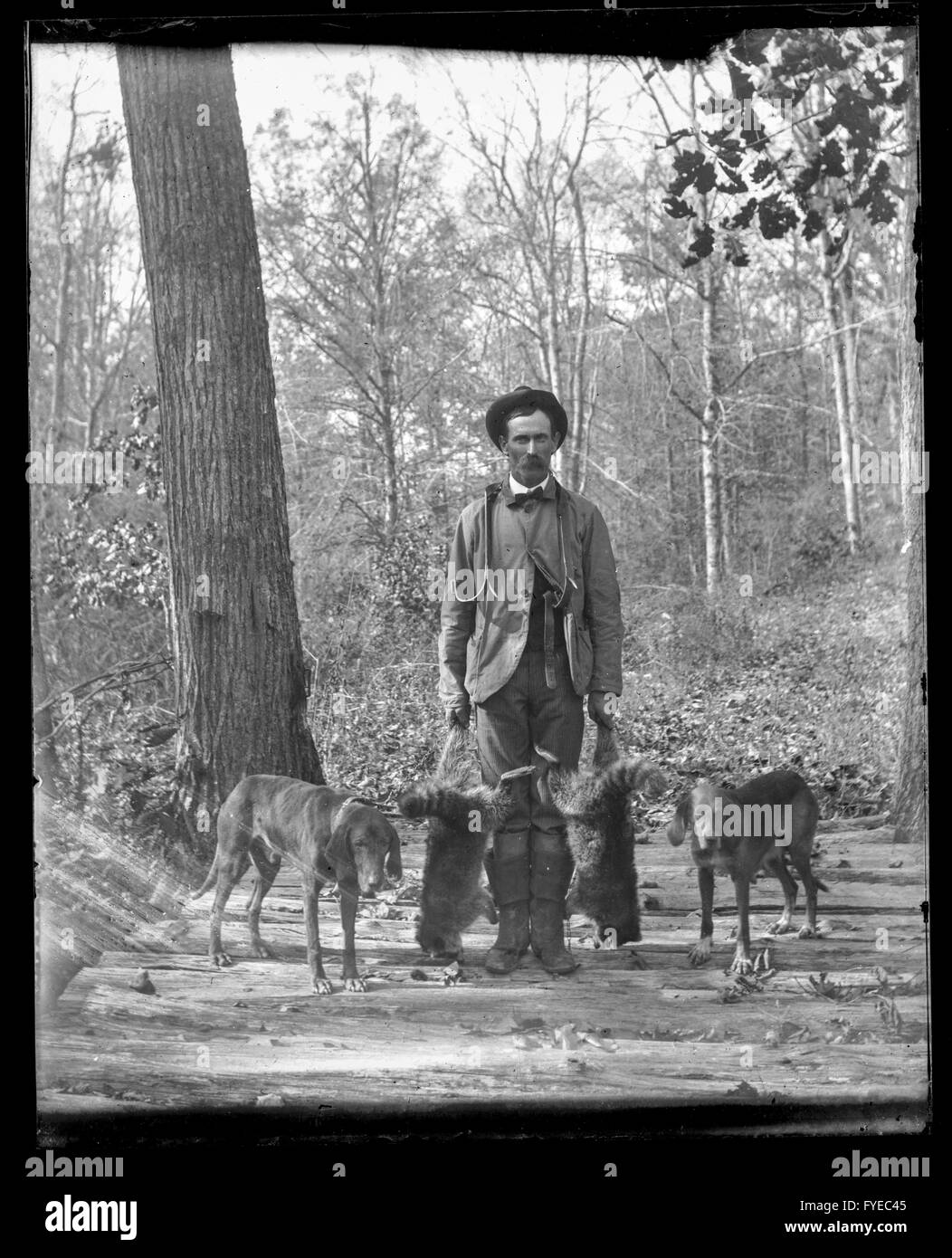 Photographie victorienne d'un chasseur avec ses chiens et les ratons laveurs morts à Fallston, Maryland. Banque D'Images