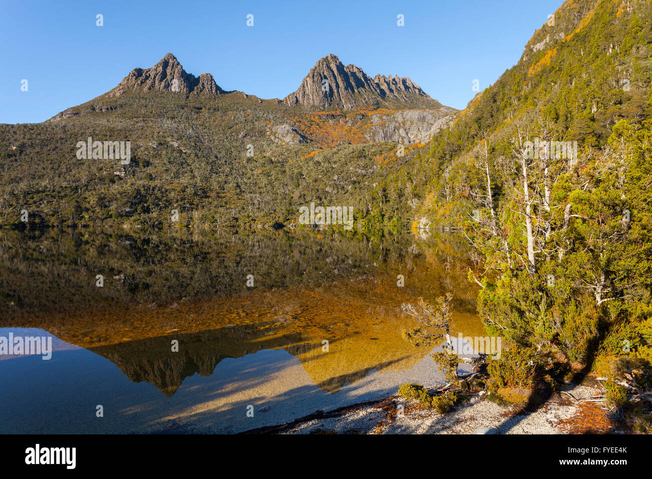 Cradle Mountain de Dove Lake Station - Lake St Clair Mtn N.P - Tasmanie Banque D'Images