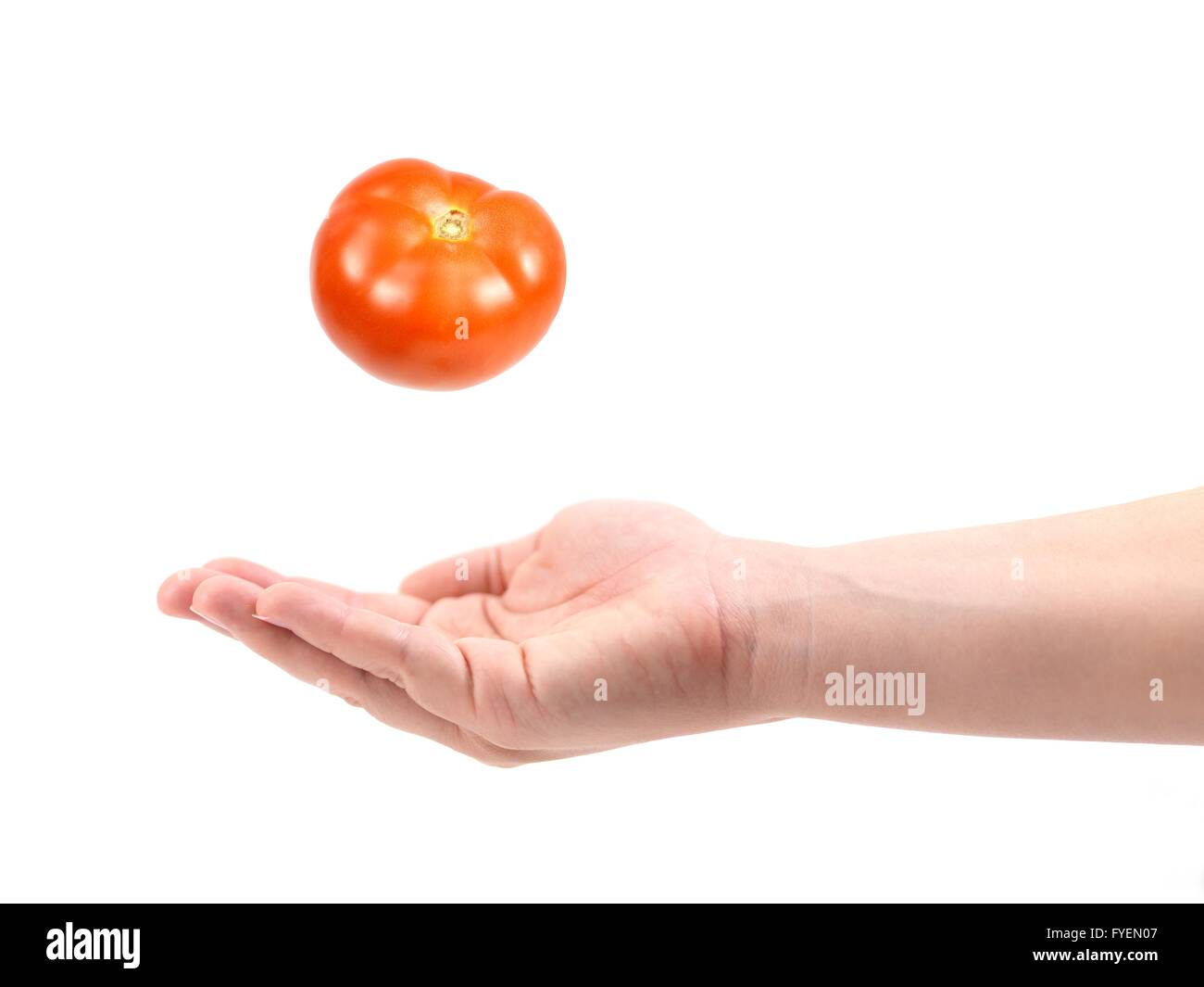 Une femme part attraper un isolé de tomate sur un fond blanc. Banque D'Images