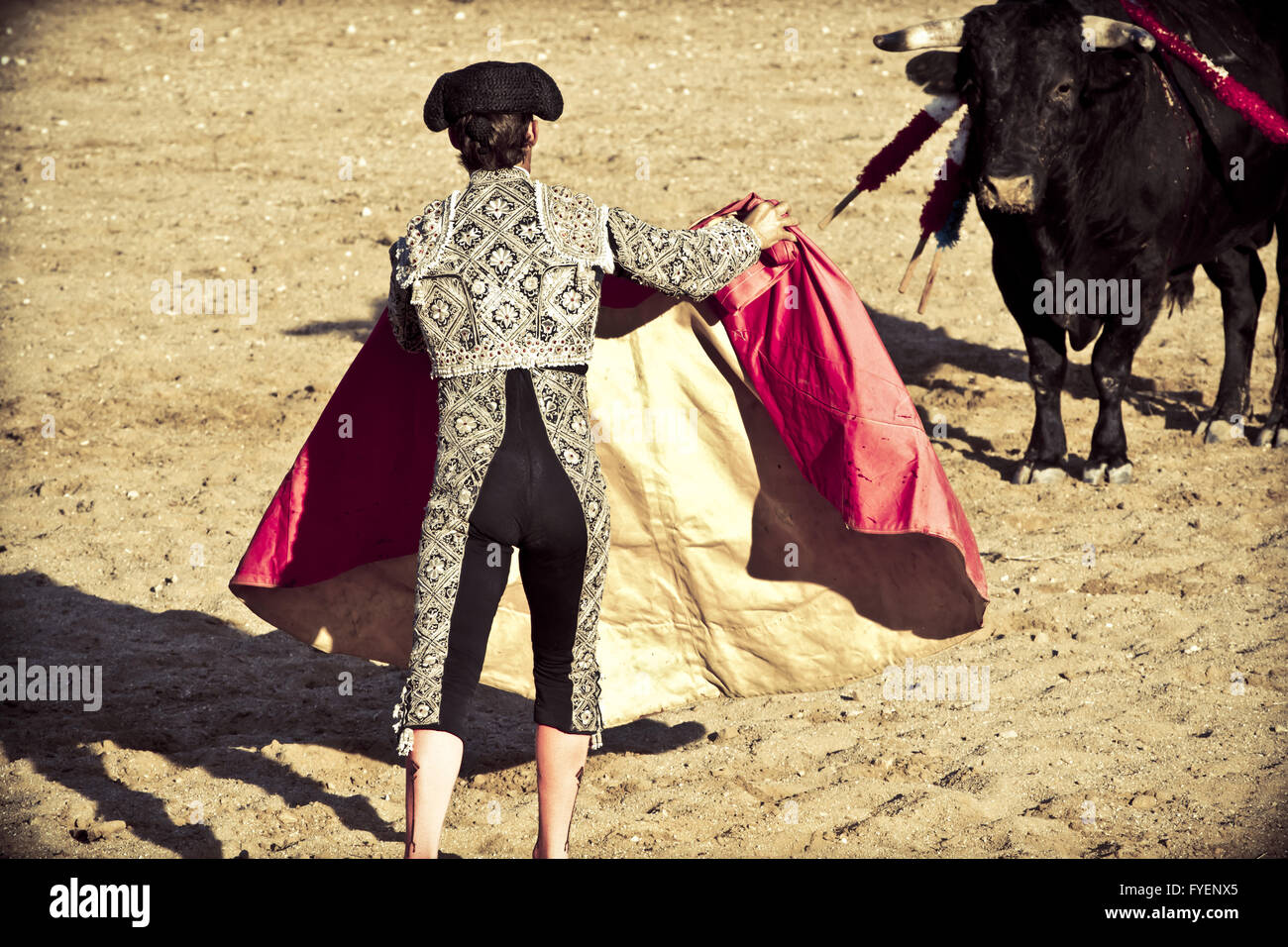 Matador et bull en corrida. Madrid, Espagne. Banque D'Images