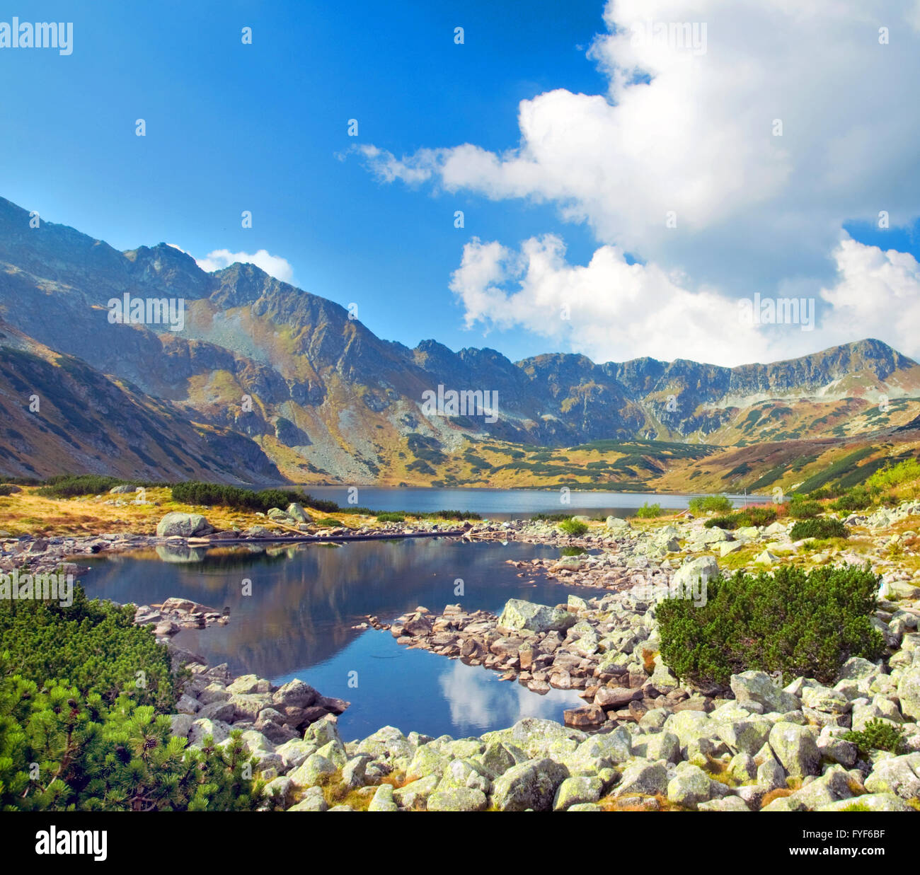 Paysage montagneux. Photo colorée Tatra Banque D'Images