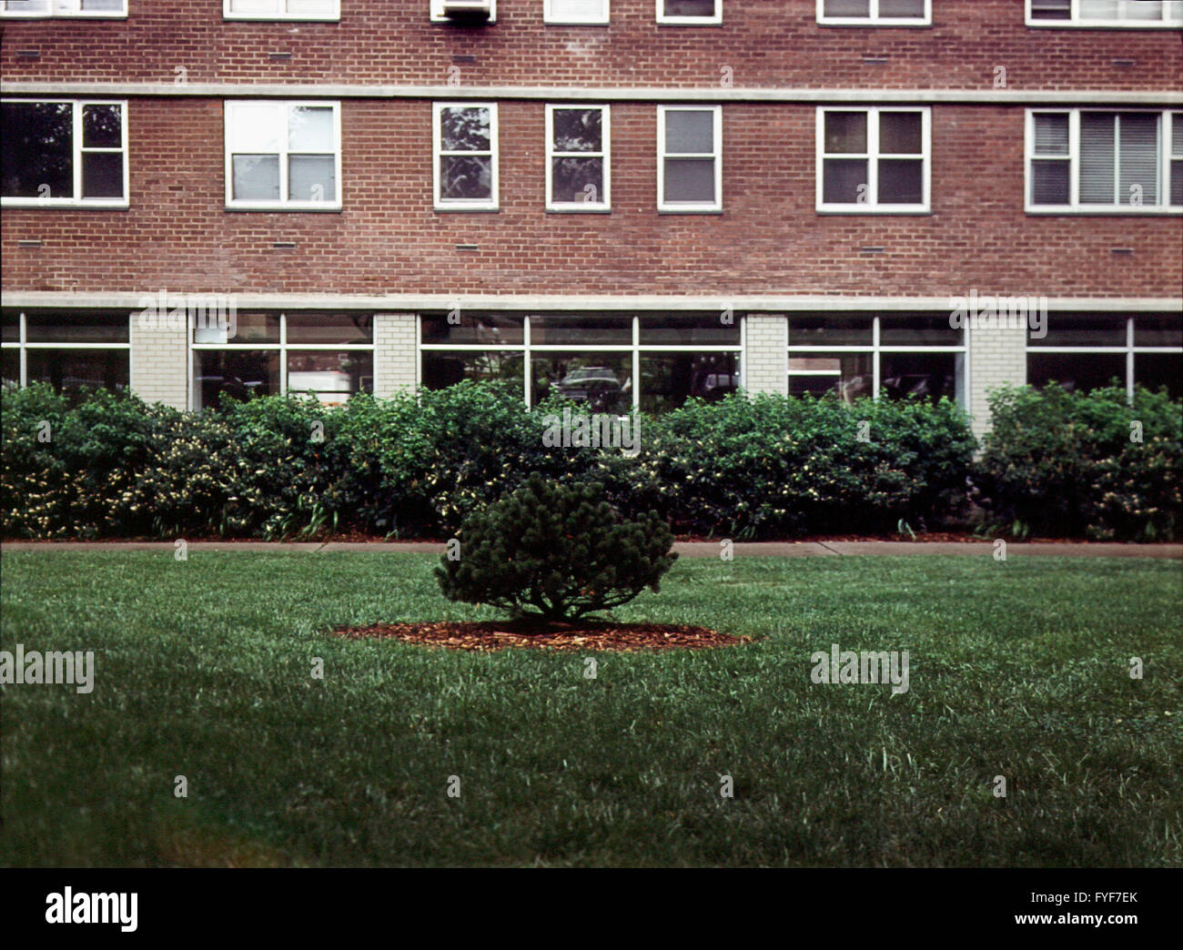 L'aménagement paysager derrière un immeuble d'appartements à Chelsea à New York le 6 août 2003. (© Richard B. Levine) Banque D'Images