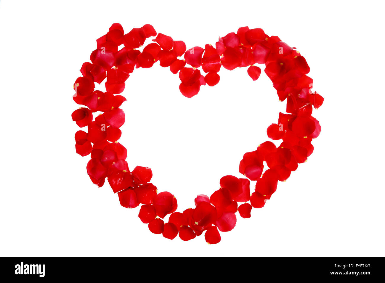 Pétales de rose Banque D'Images