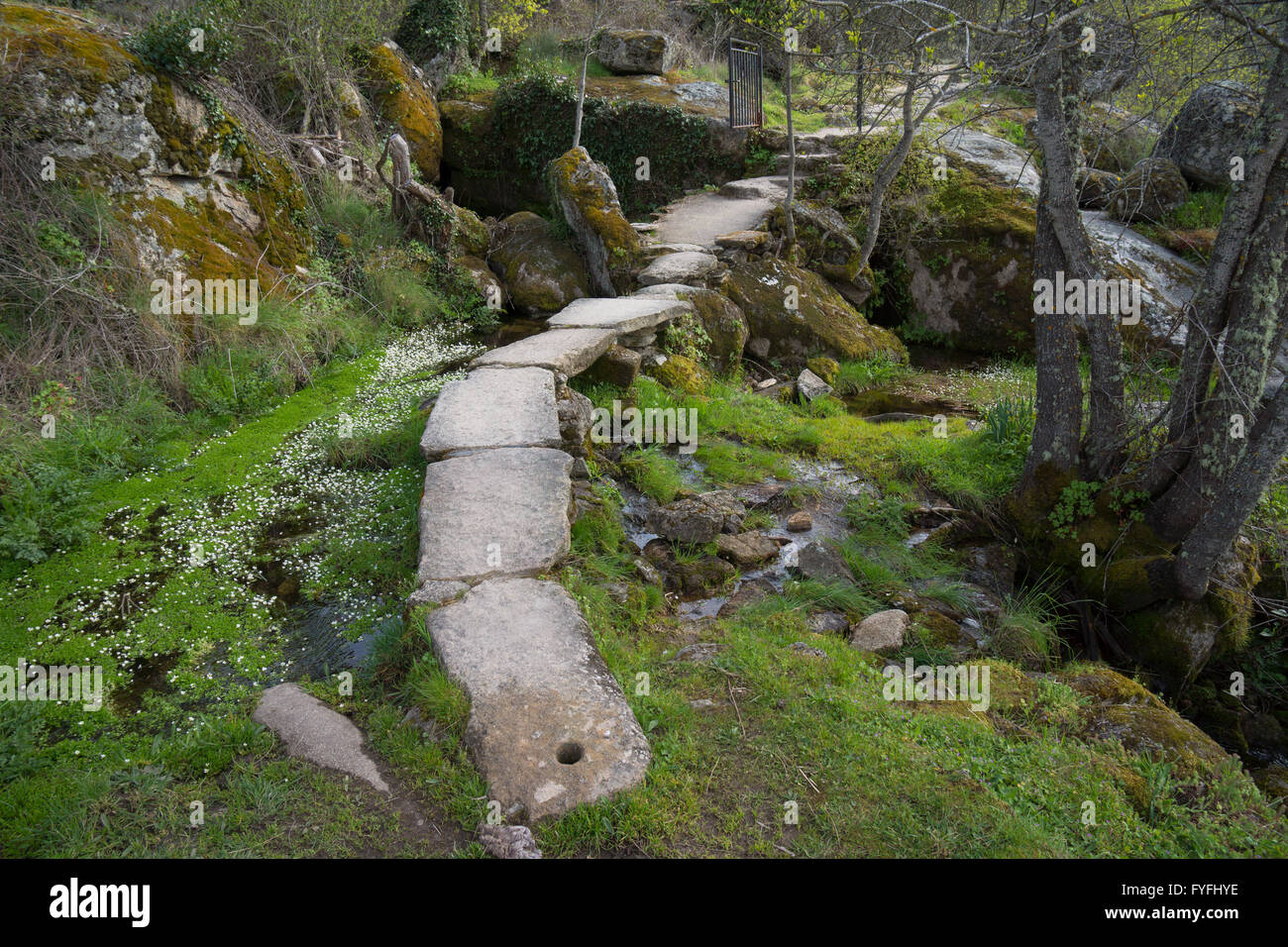 Pont fait de plaques de pierre à travers un ruisseau. Banque D'Images