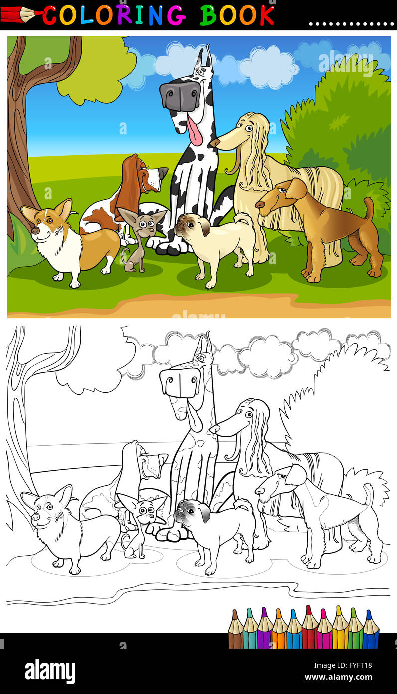 Les chiens de race pure caricature pour Coloring Book Banque D'Images