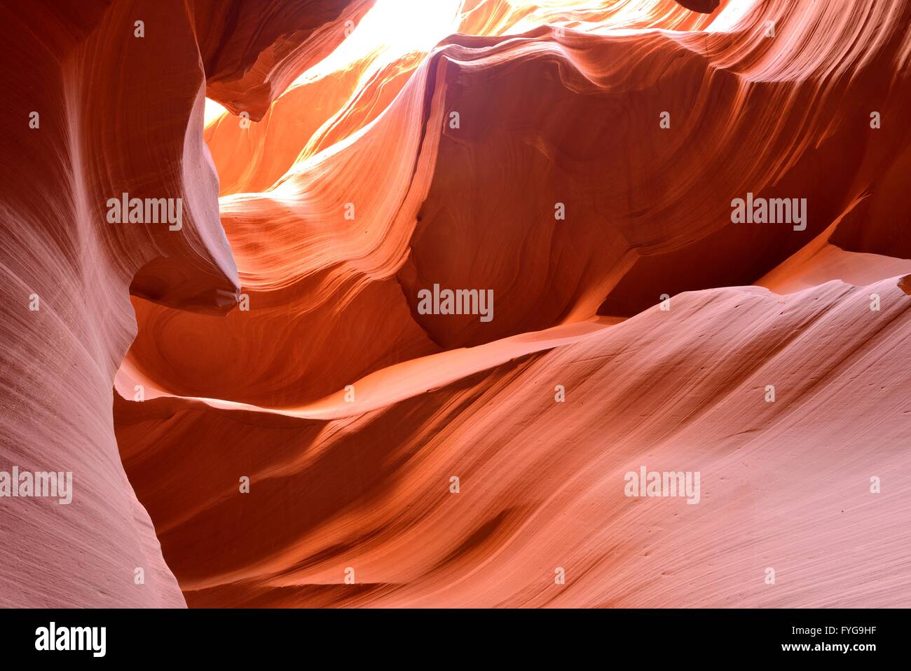 Des rochers de grès rouge vif - soleil brille sur des rochers de grès colorés dans un emplacement high desert canyon. Banque D'Images