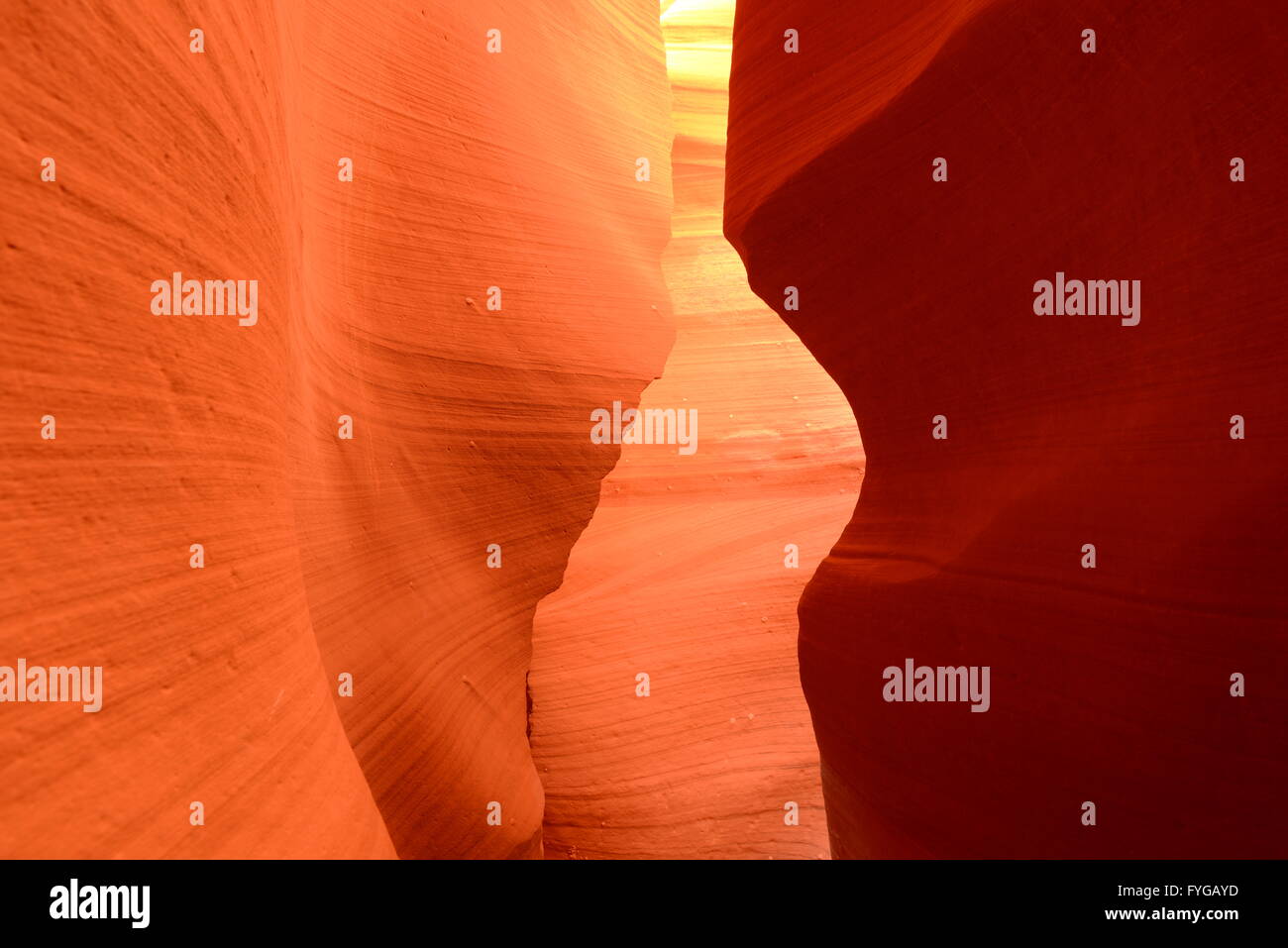 Les roches rouges - Rouge rochers de grès dans un slot canyon Banque D'Images