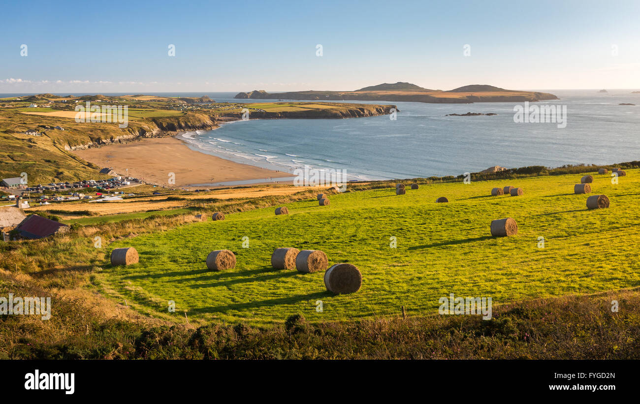 Bottes de foin dans un champ au-dessus de Whitesands Bay à l'ensemble de l'île de Ramsey repris de Carn Llidi chemin sur le nord, Pembrokeshire Banque D'Images