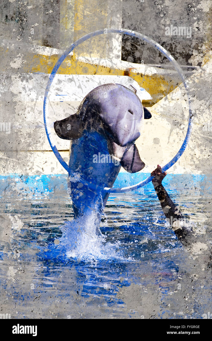 Jumping Dolphin. Fond texturé avec image artistique. Ring Banque D'Images