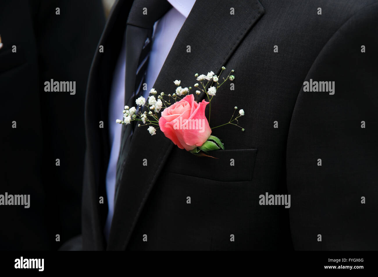 Rose rouge sur un groom manteau noir. Close-up. Banque D'Images