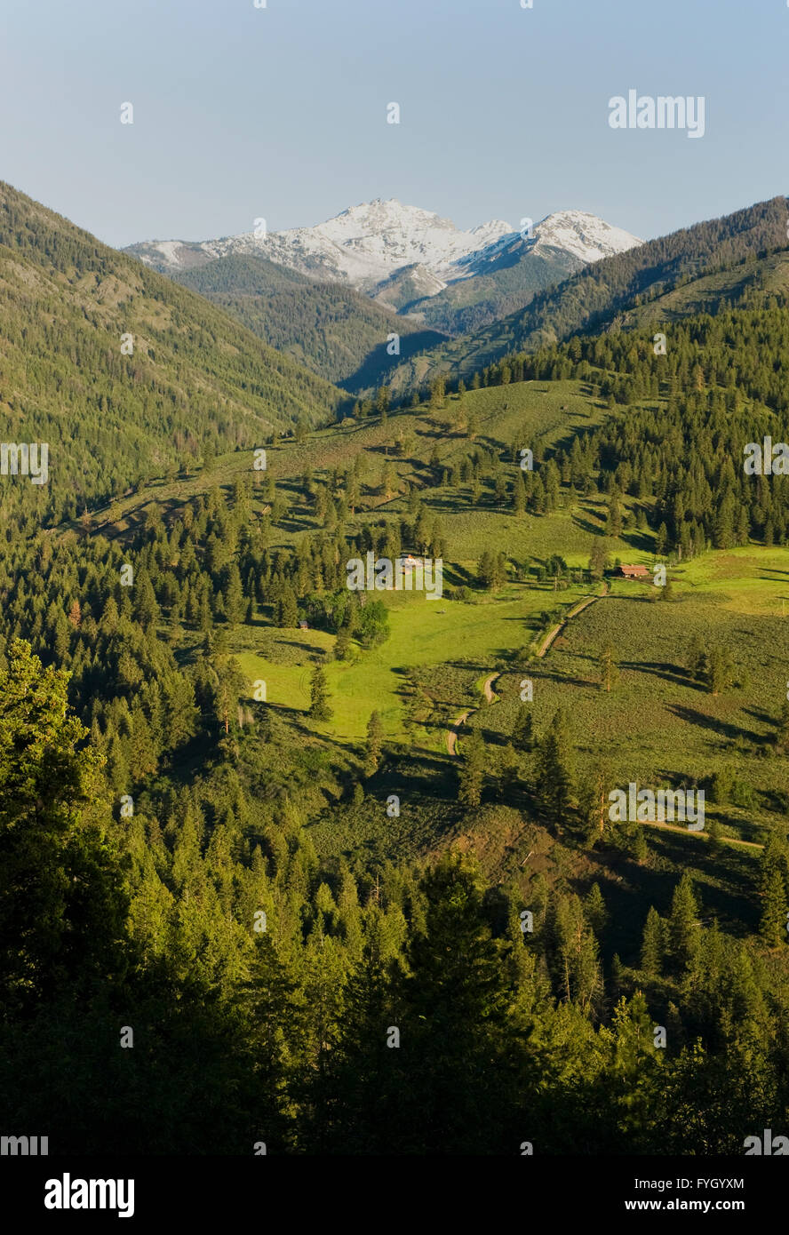 Wolf Creek Valley, North Cascades de Sun Mountain, juin Banque D'Images