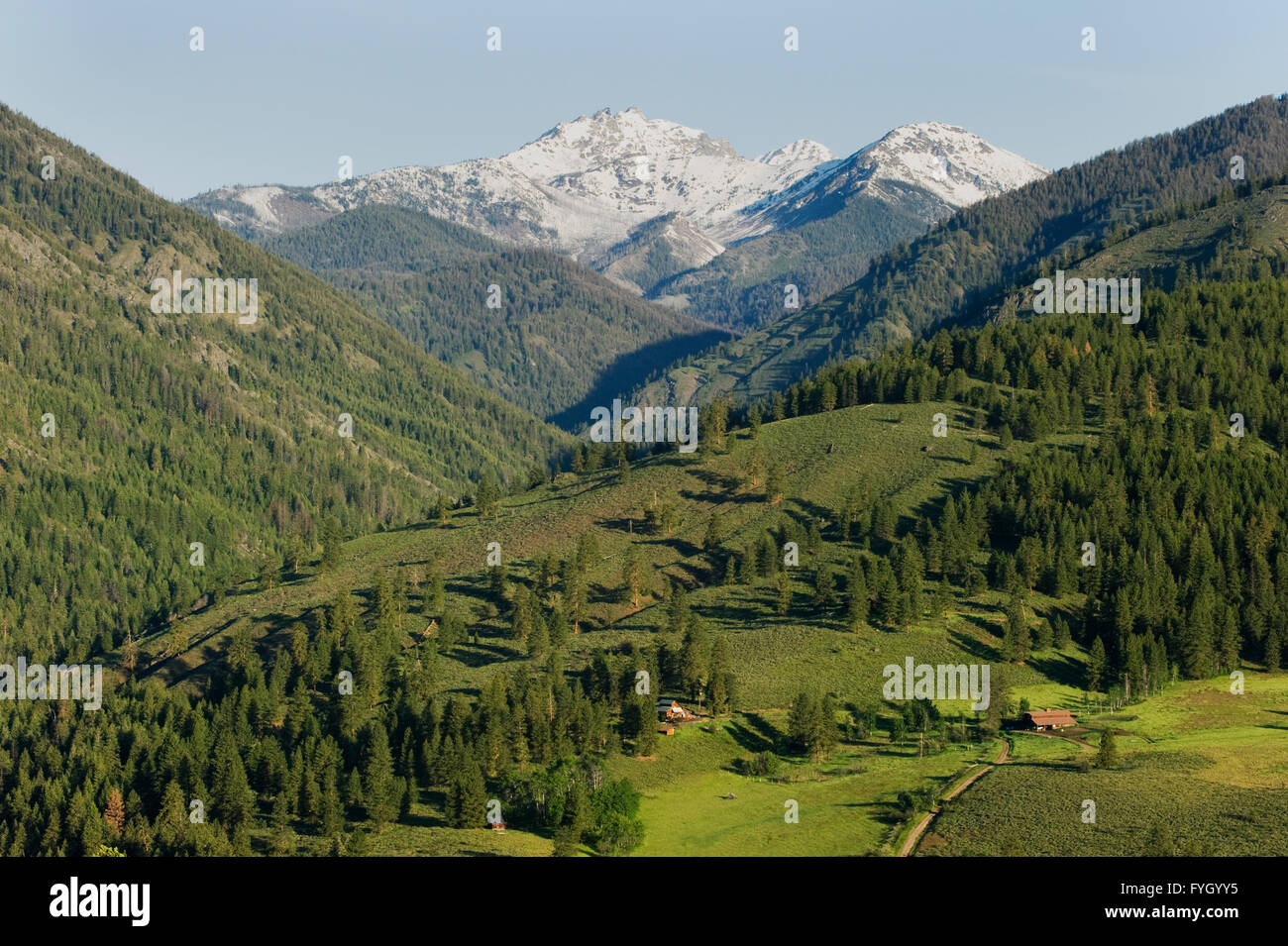 Wolf Creek Valley, North Cascades de Sun Mountain, Vallée Methow, juin Banque D'Images
