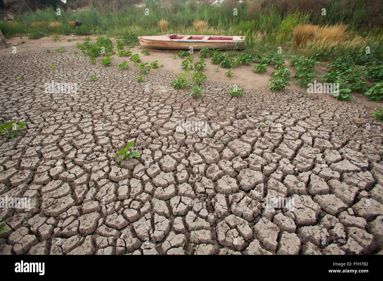 Concept de l'environnement, la pénurie d'eau et de la sécheresse de la boue craquelée à sec Banque D'Images