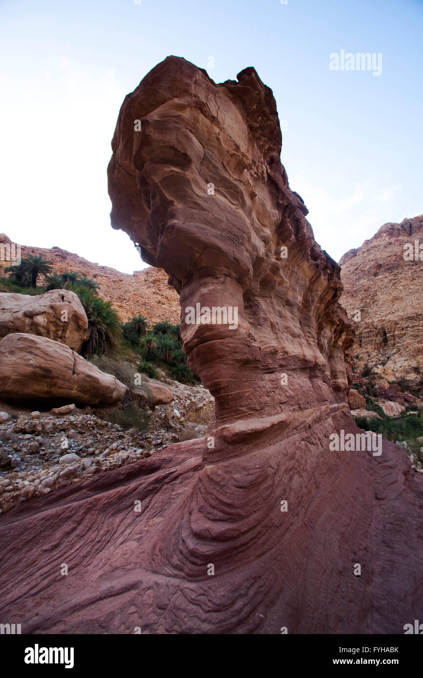 Rock formation à Wadi Zéred (Wadi Hassa ou Hasa) dans l'ouest de la Jordanie. Pierre de sable un canyon avec de l'eau courante frash Banque D'Images