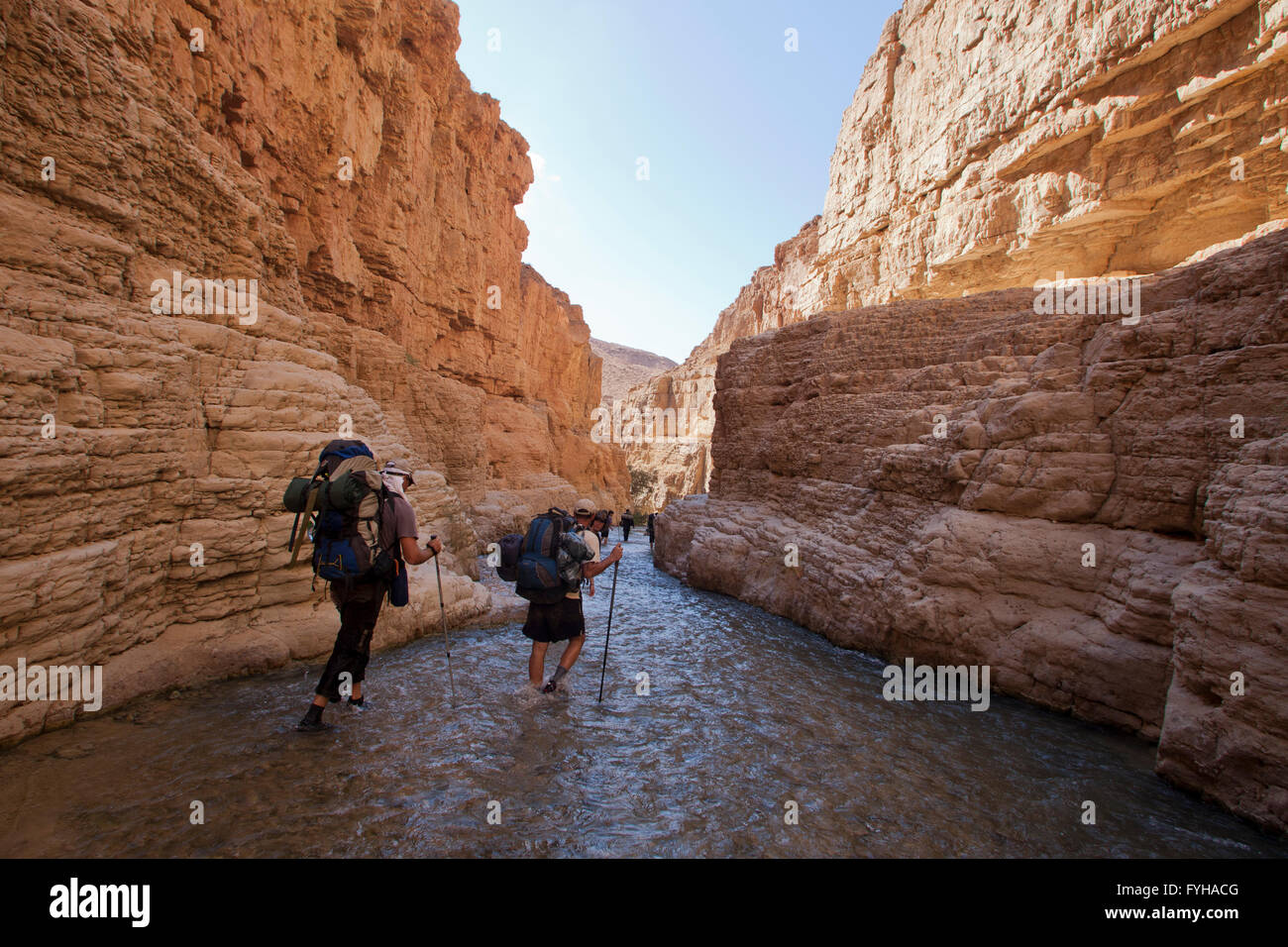 Wadi Zéred (Wadi Hassa ou Hasa) dans l'ouest de la Jordanie. Pierre de sable un canyon avec de l'eau courante frash Banque D'Images