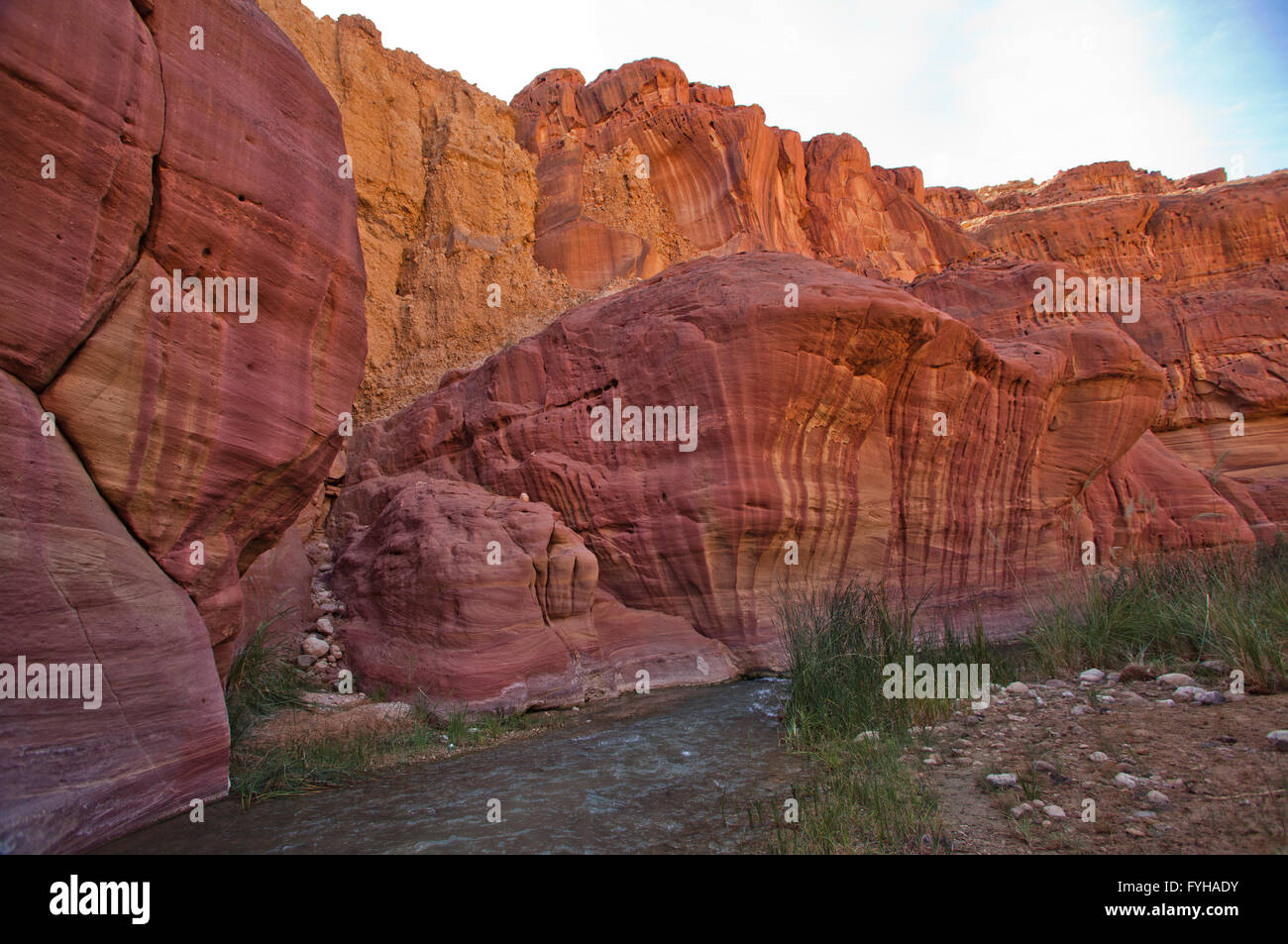 Wadi Zéred (Wadi Hassa ou Hasa) dans l'ouest de la Jordanie. Pierre de sable un canyon avec de l'eau courante frash Banque D'Images