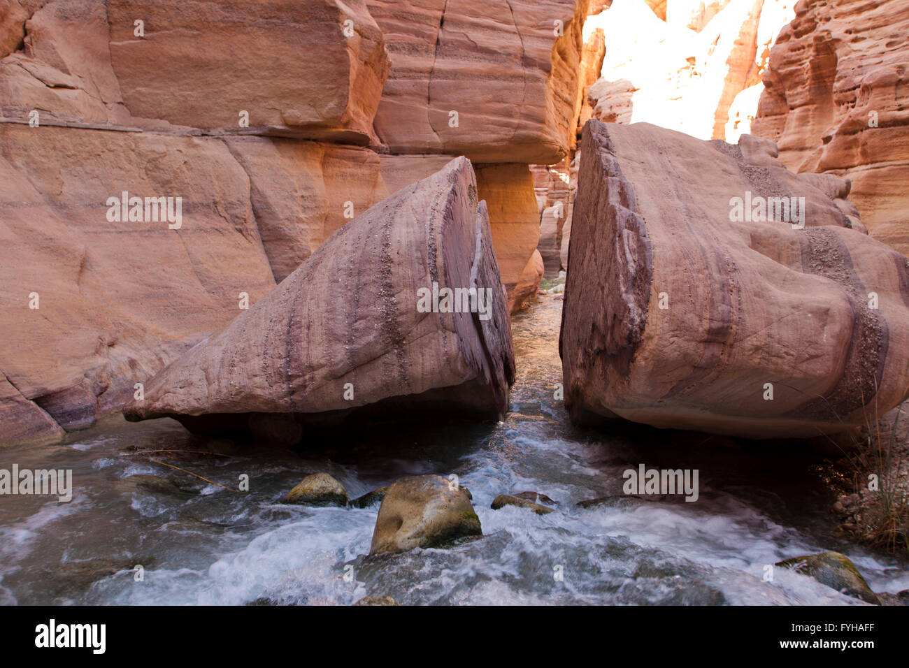 Wadi Zéred (Wadi Hassa ou Hasa) dans l'ouest de la Jordanie. Pierre de sable un canyon avec de l'eau courante frash Banque D'Images