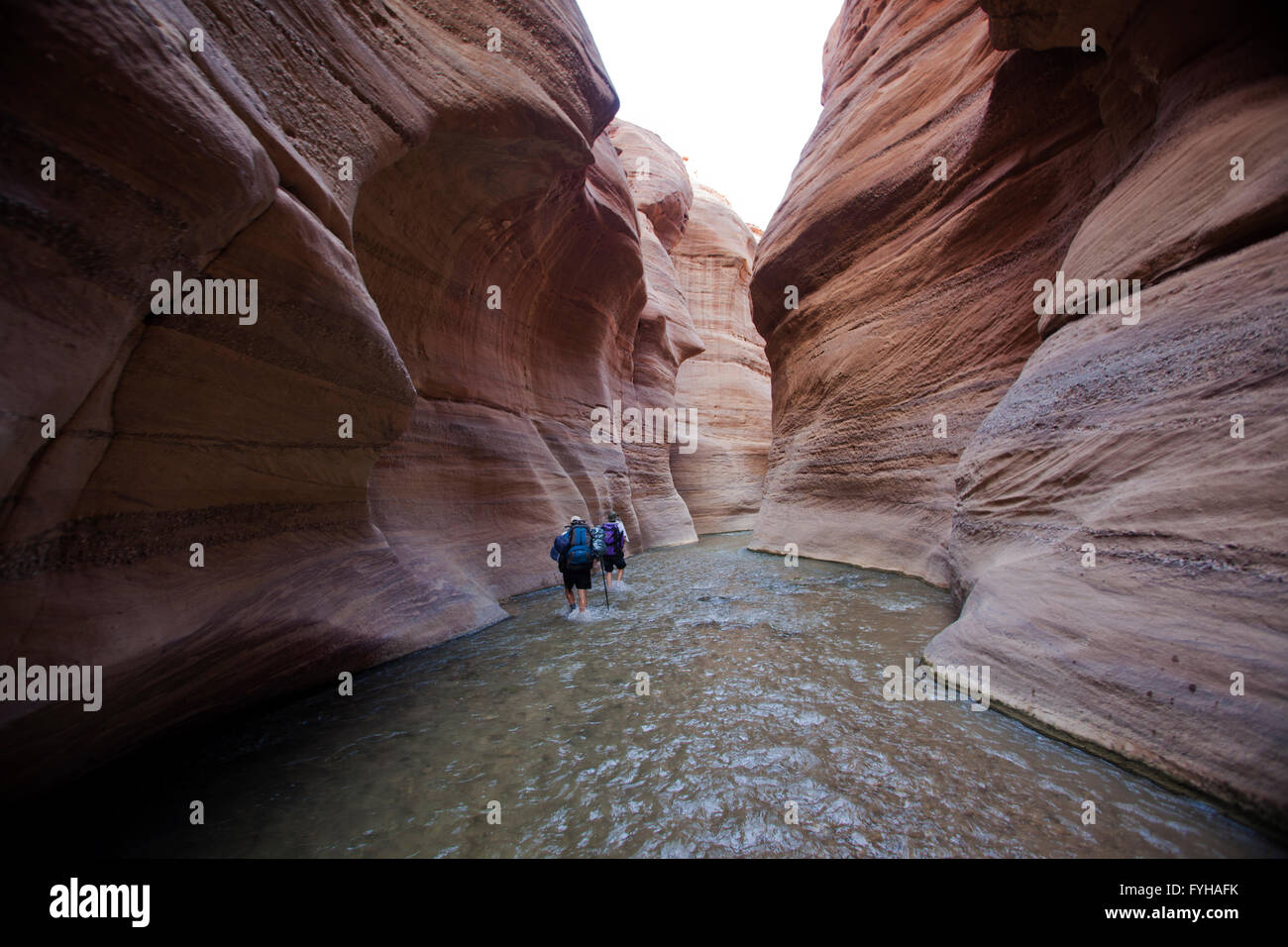 Wadi Zéred (Wadi Hassa ou Hasa) dans l'ouest de la Jordanie. Pierre de sable un canyon avec de l'eau courante frash Banque D'Images