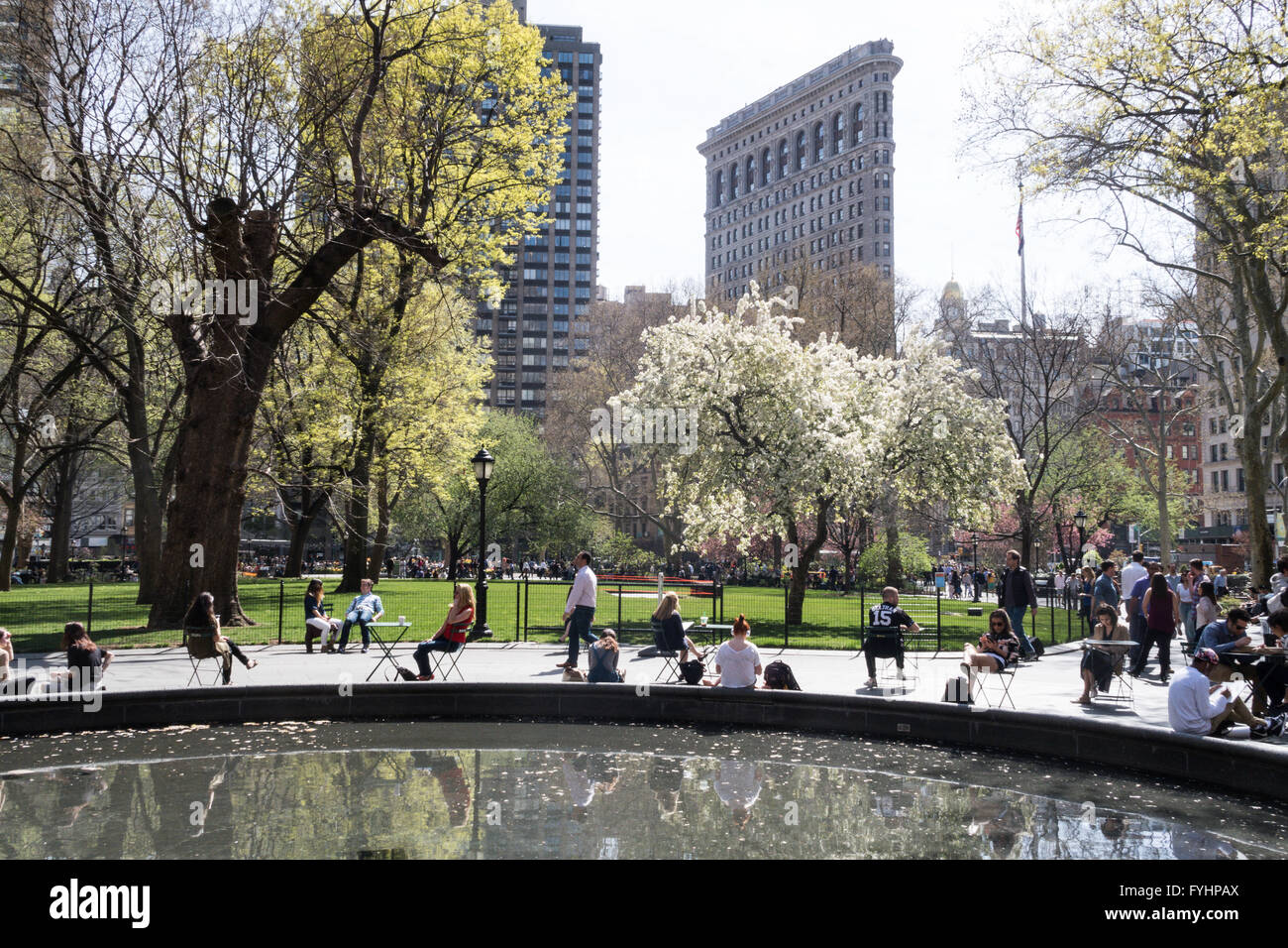Le printemps de l'étang et Fontaine, Flatiron Building, Madison Square Park, NYC Banque D'Images