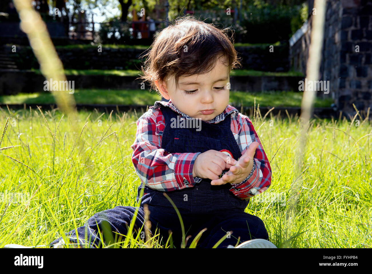 Portrait of cute little boy un an joue à l'extérieur dans le parc Banque D'Images
