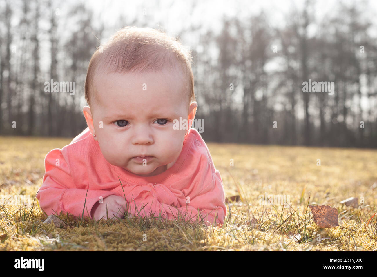 Bébé sur l'herbe au soleil Banque D'Images