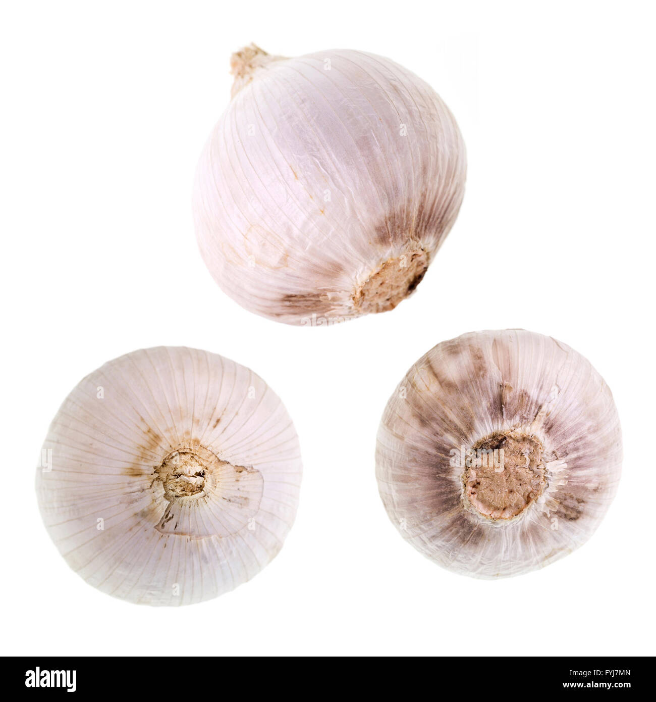 Seul frais gousse d'ail, aussi connu sous le nom de pearl ou l'Ail Ail en solo, est une variété d'indigènes du sud une saucisse végétarienne traditionnelle galloise de E Banque D'Images