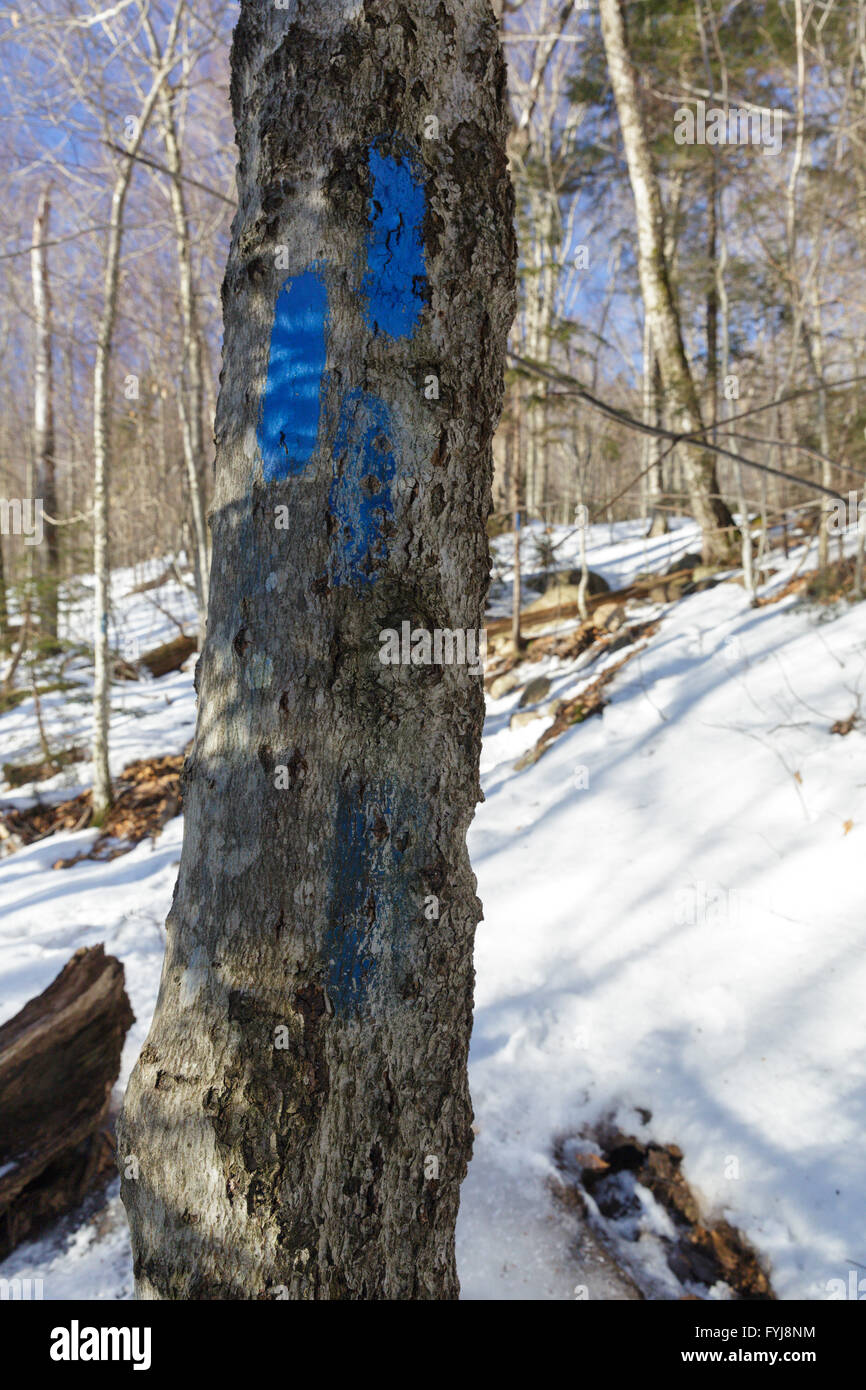 Pionnière bleu (signe) le long de la piste de Mount Pemigewasset dans Franconia Notch State Park de New Hampshire Banque D'Images