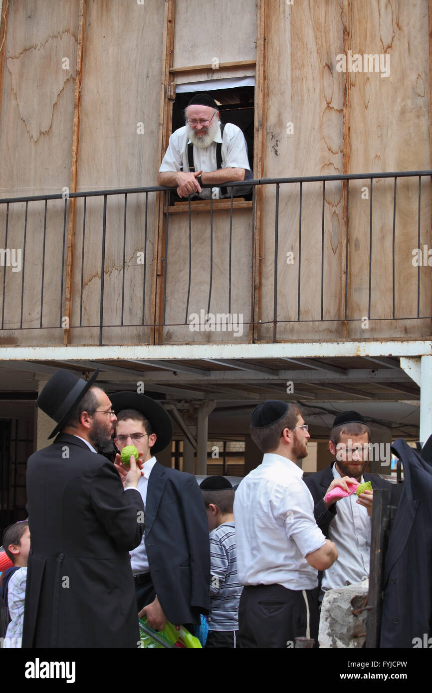 Un jeune religieux juifs en noir skullcaps de choisir citron Souccot Banque D'Images