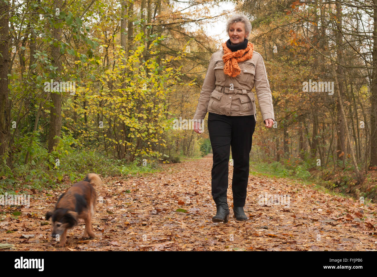 Ager moyen est de prendre une marche avec le chien Banque D'Images