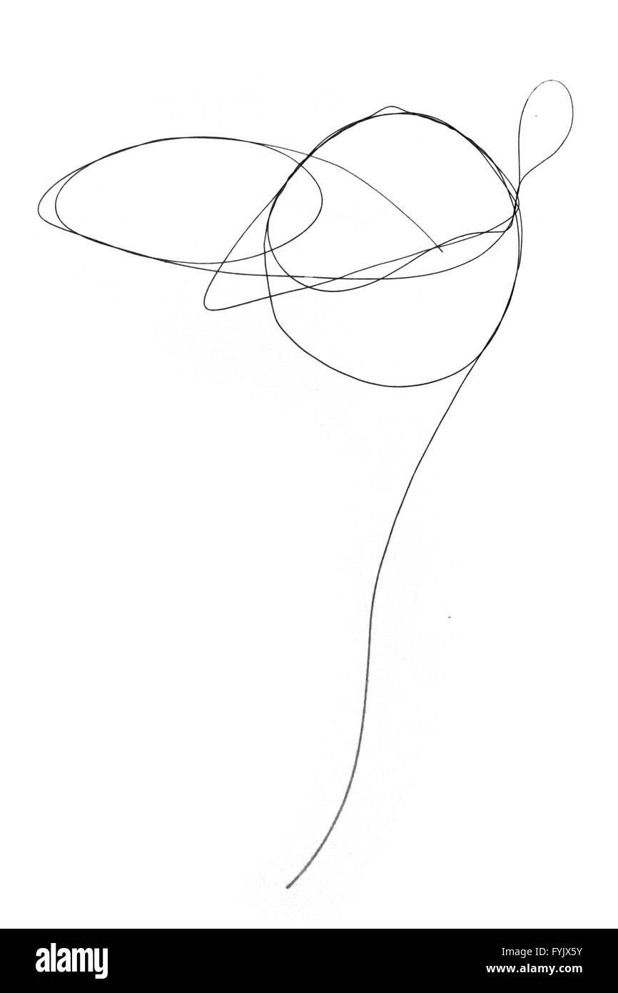 Aucun peuple de cheveux humains Banque D'Images Aucun peuple de cheveux humains Banque D'Images