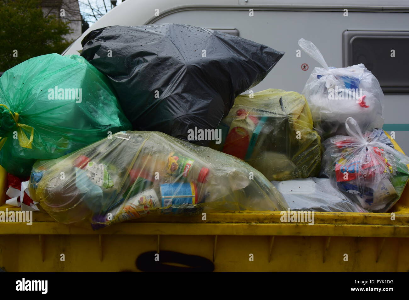 Refuser en plastique dans un grand frêne jaune-can à Bonn, Allemagne Banque D'Images
