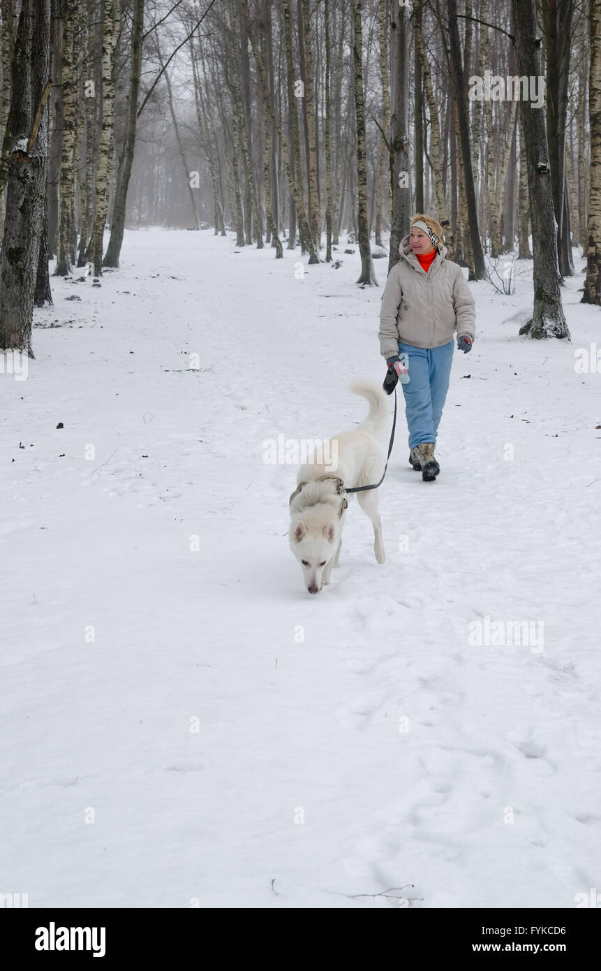 Femme avec chien marcher dans l'avenue dans l'hiver. Banque D'Images