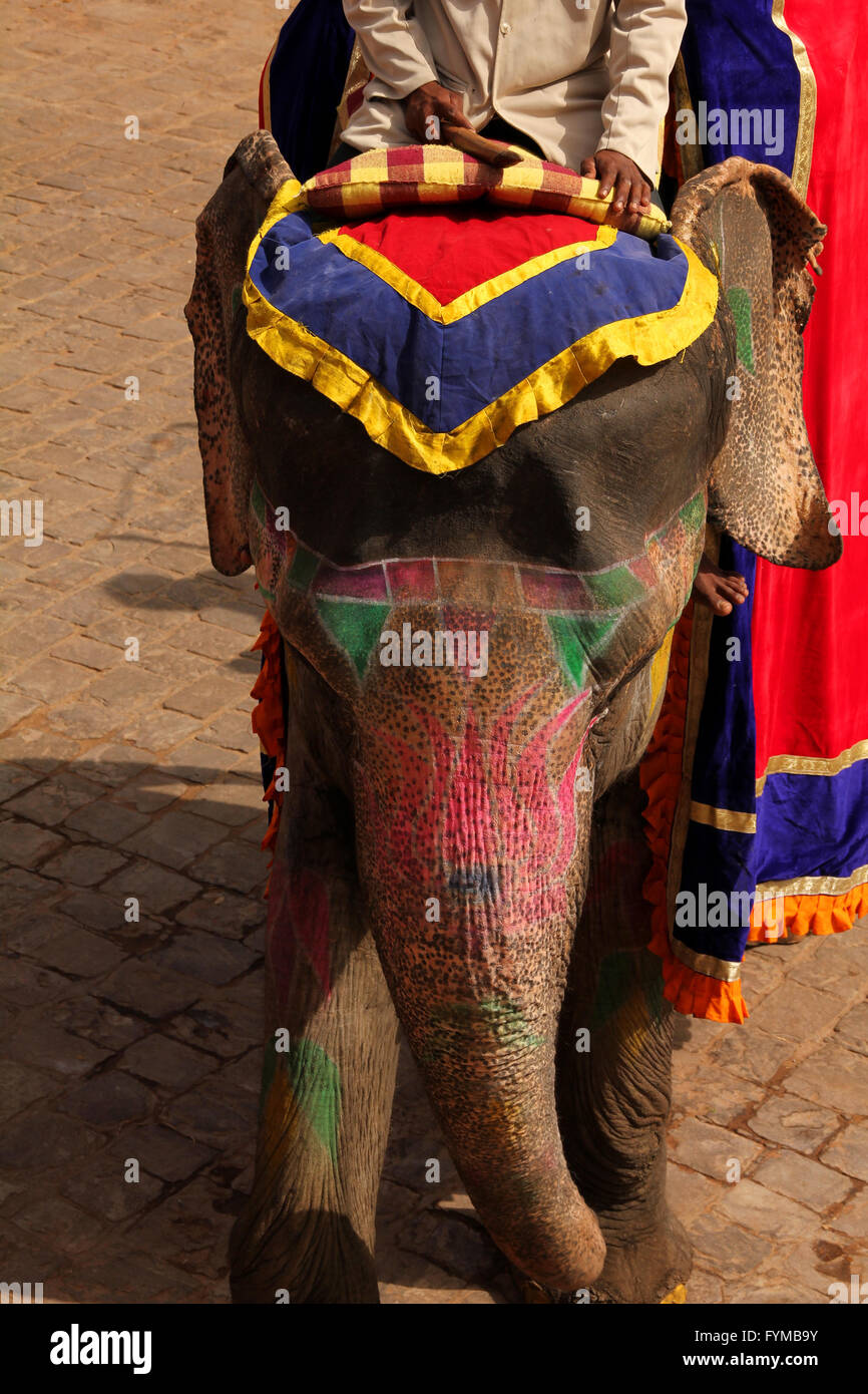 Éléphant décoré Banque D'Images