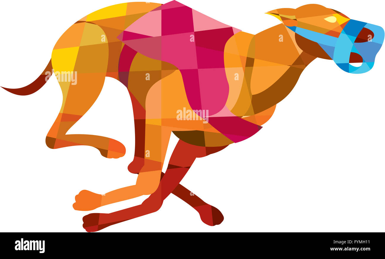 Les courses de chiens Greyhound Polygone faible Banque D'Images