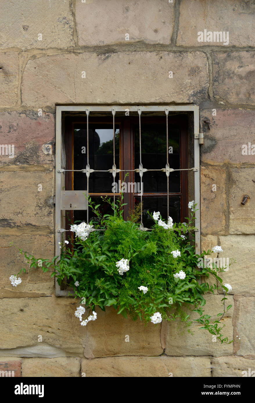 Fenster, Gitter, Altstadt, Kulmbach, Bayern, Deutschland Banque D'Images