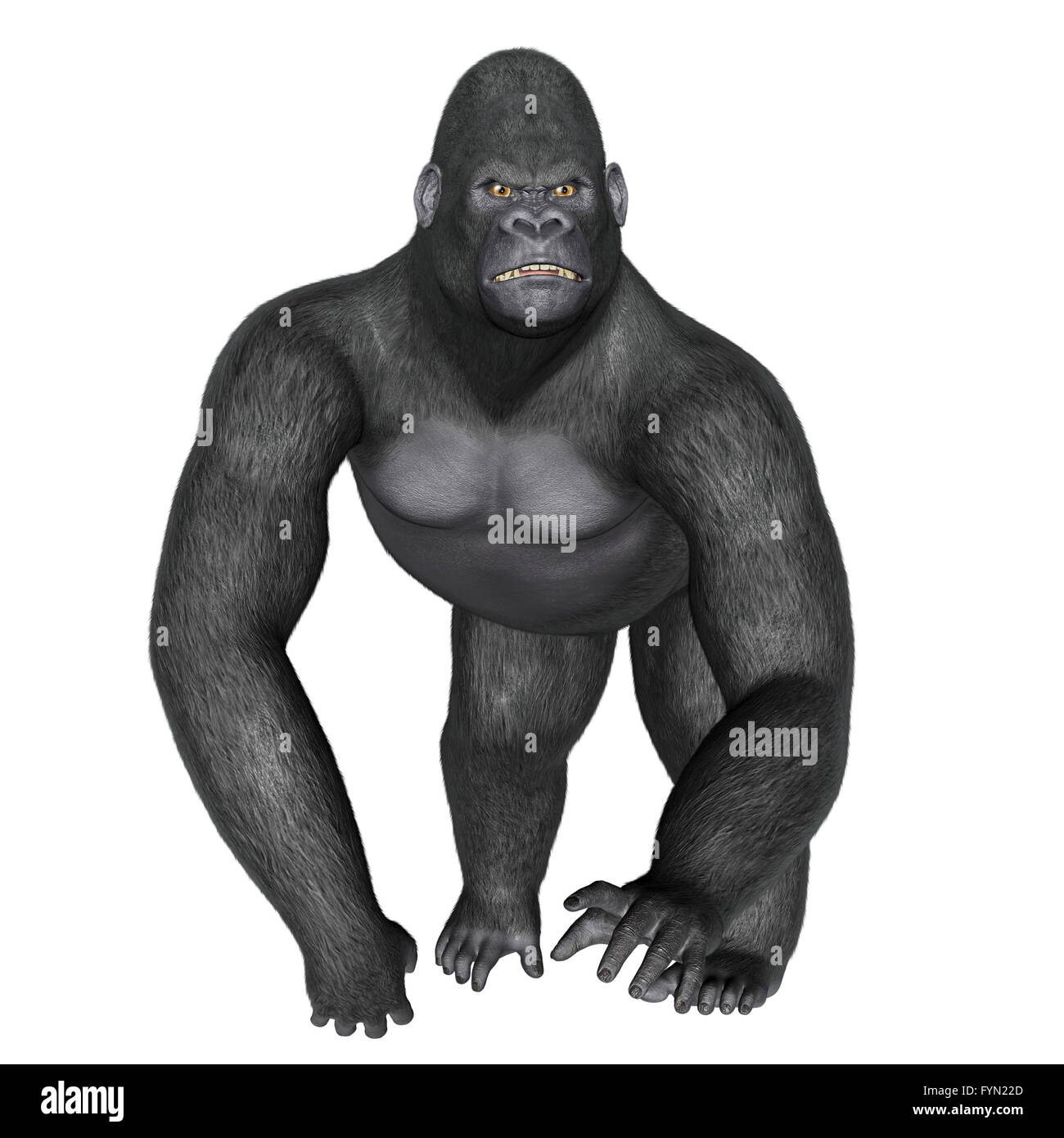 Gorille en colère - marche de rendu 3D Banque D'Images