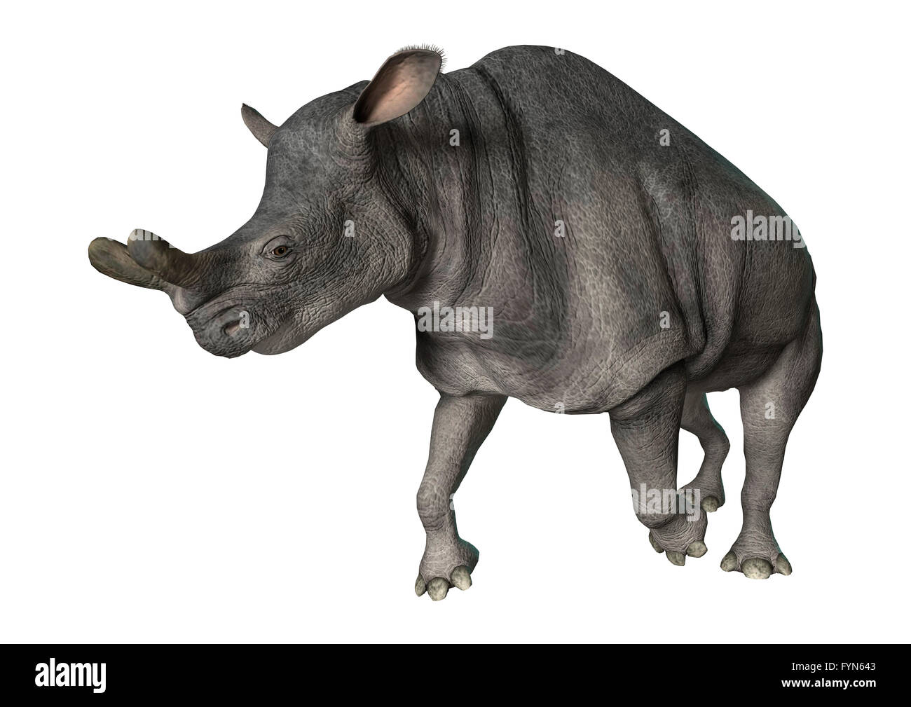 Le rendu 3D d'un Brontotherium exécutant isolé sur fond blanc Banque D'Images