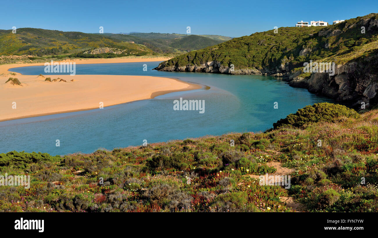 Le Portugal, l'Algarve : Riverside et le sable vue de falaises avec végétation côtière verte à la plage Praia da Amoreira Banque D'Images