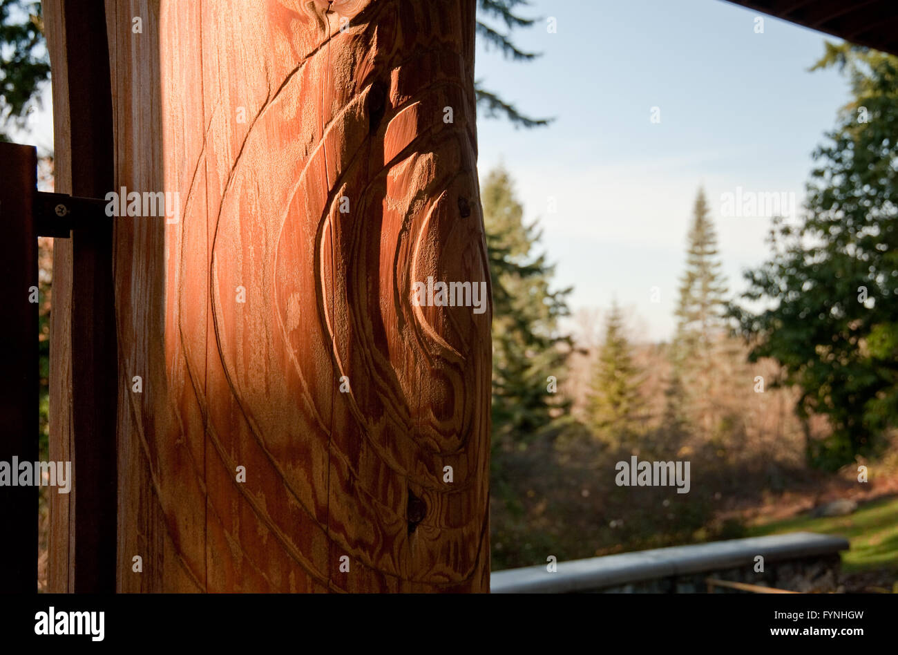 Structure dans Washington Park Arboretum Banque D'Images