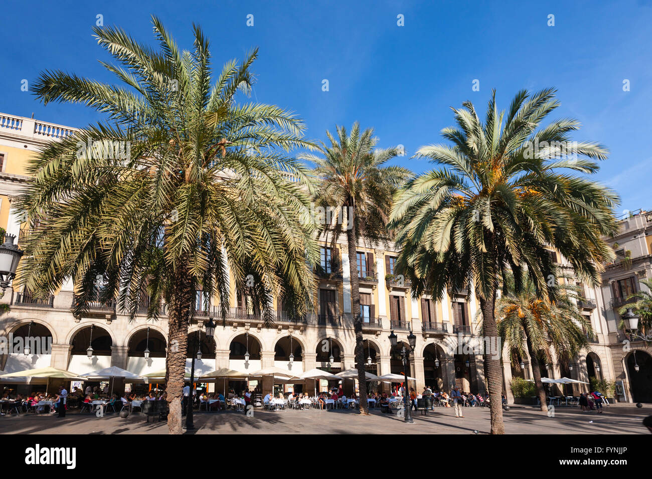 Plaça Reial, Piaza Real, Plaza Reial, Royal Plaza, Barri Gotic, Barcelone, Catalogne, Espagne Banque D'Images