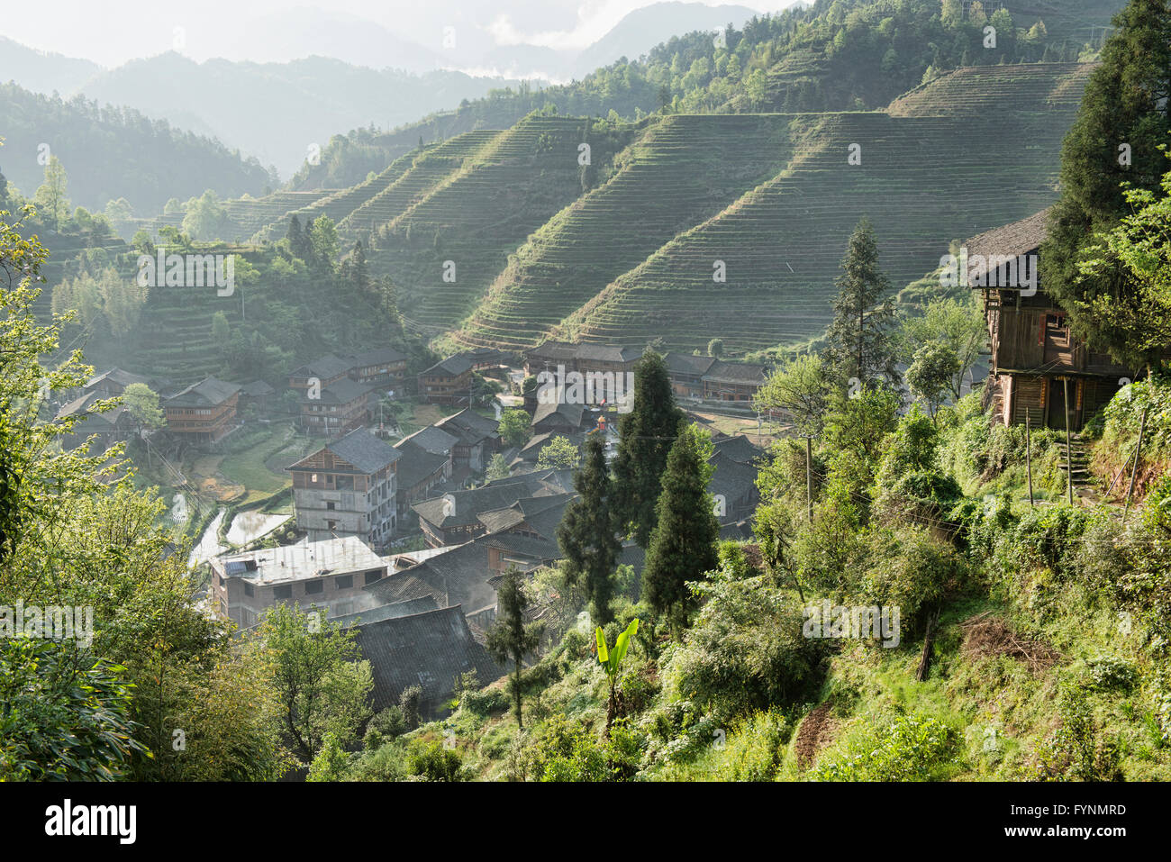Village de Dazhai et rizières en terrasse dans la lumière du matin, région autonome du Guangxi, Chine Banque D'Images