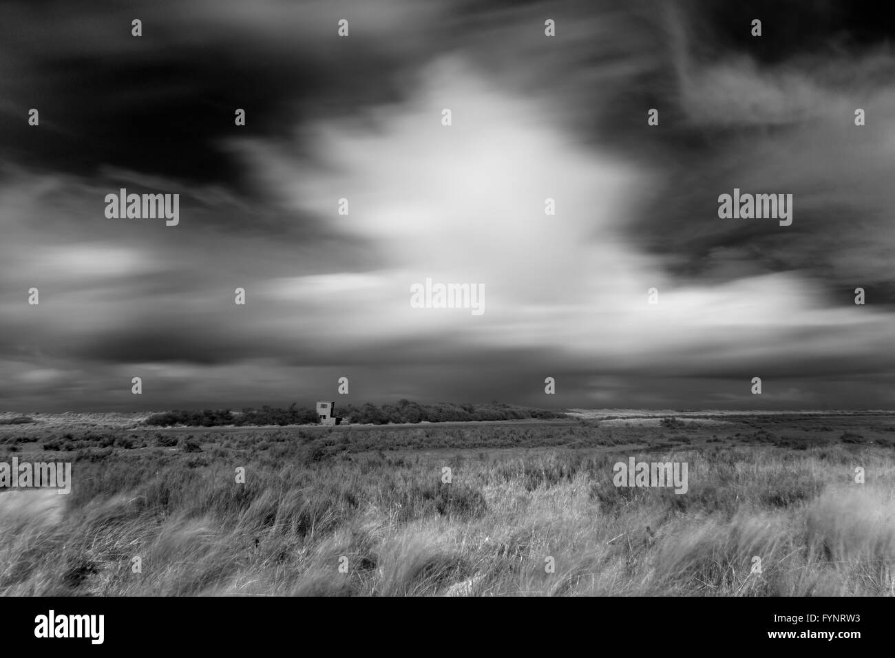 La réserve naturelle et la plage de la RSPB à Titchwell Marsh Norfolk Banque D'Images