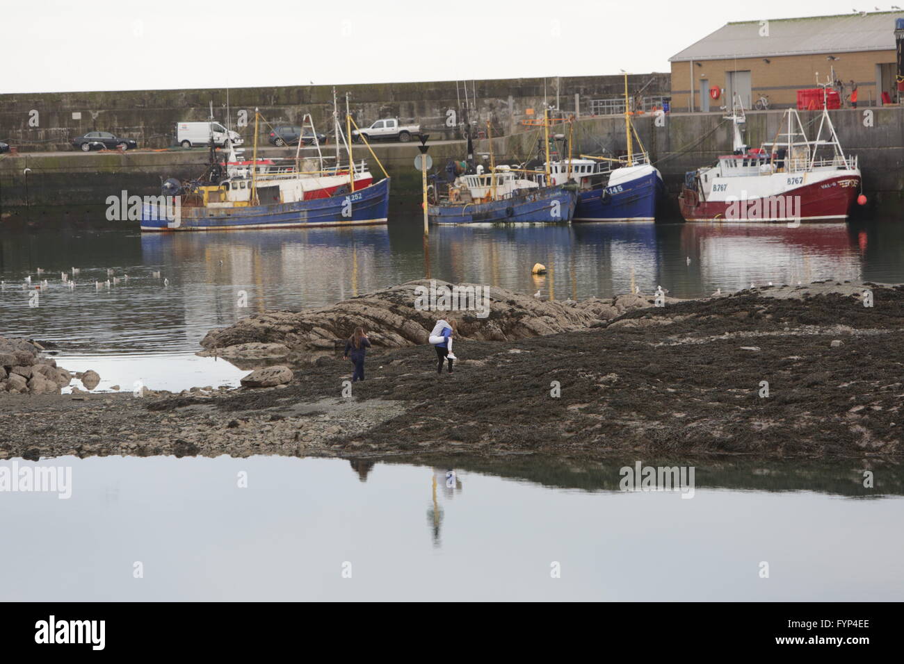 Ardglass (de l'Irlandais Ard Ghlais, signifiant 'hauteur' vert)[2] est un village de pêche côtière, townland (de 321 acres) et civile pari Banque D'Images