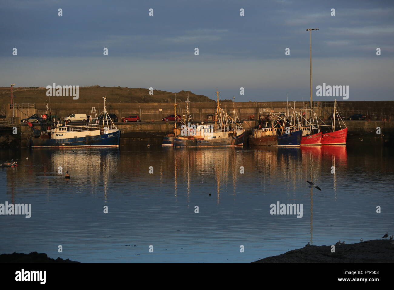 Ardglass (de l'Irlandais Ard Ghlais, signifiant 'hauteur' vert)[2] est un village de pêche côtière, townland (de 321 acres) et civile pari Banque D'Images