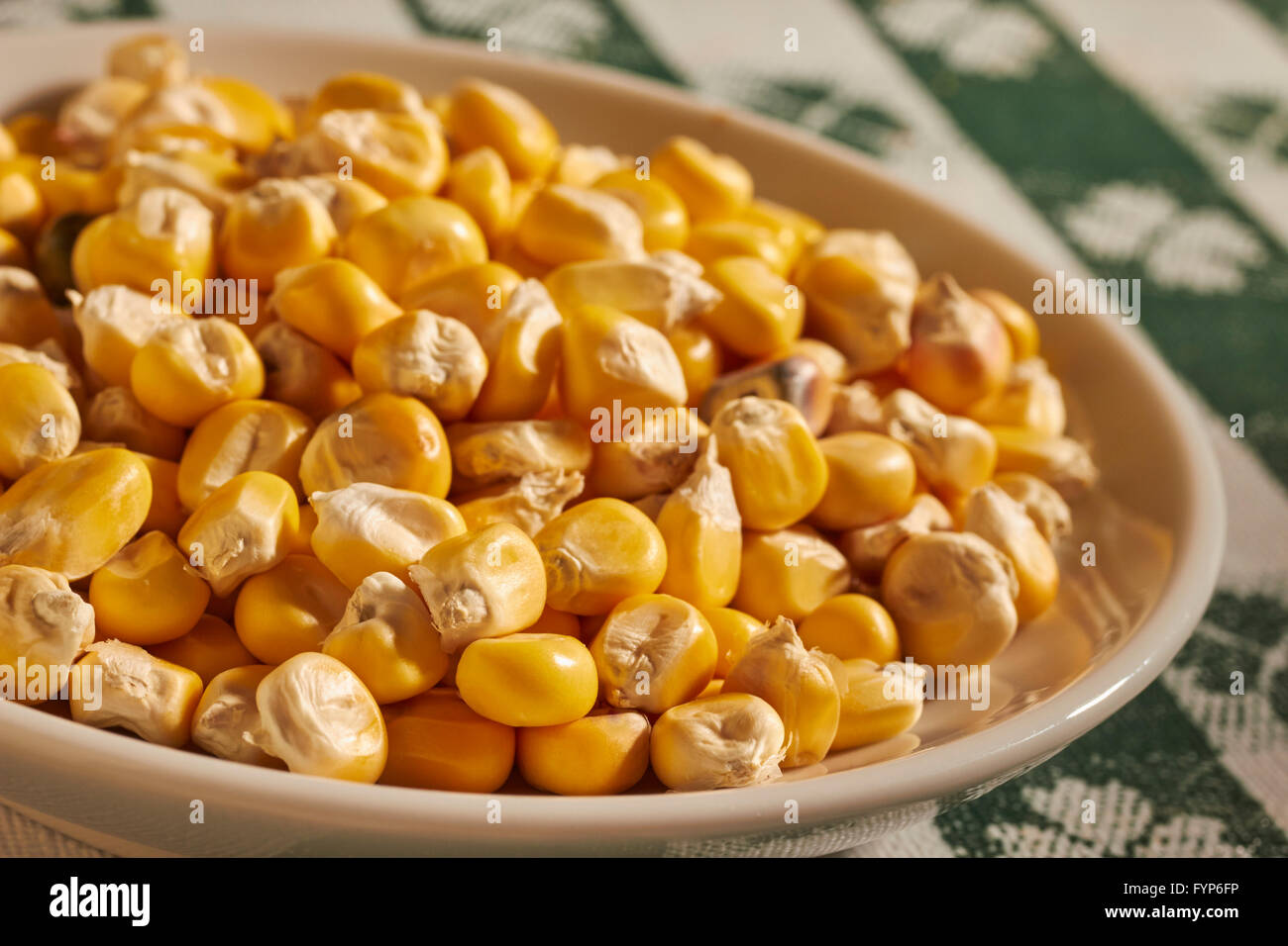 Les grains séchés de dent le maïs cultivé par les agriculteurs américains dans la Nation Navajo, dans le sud-ouest des États-Unis. Banque D'Images