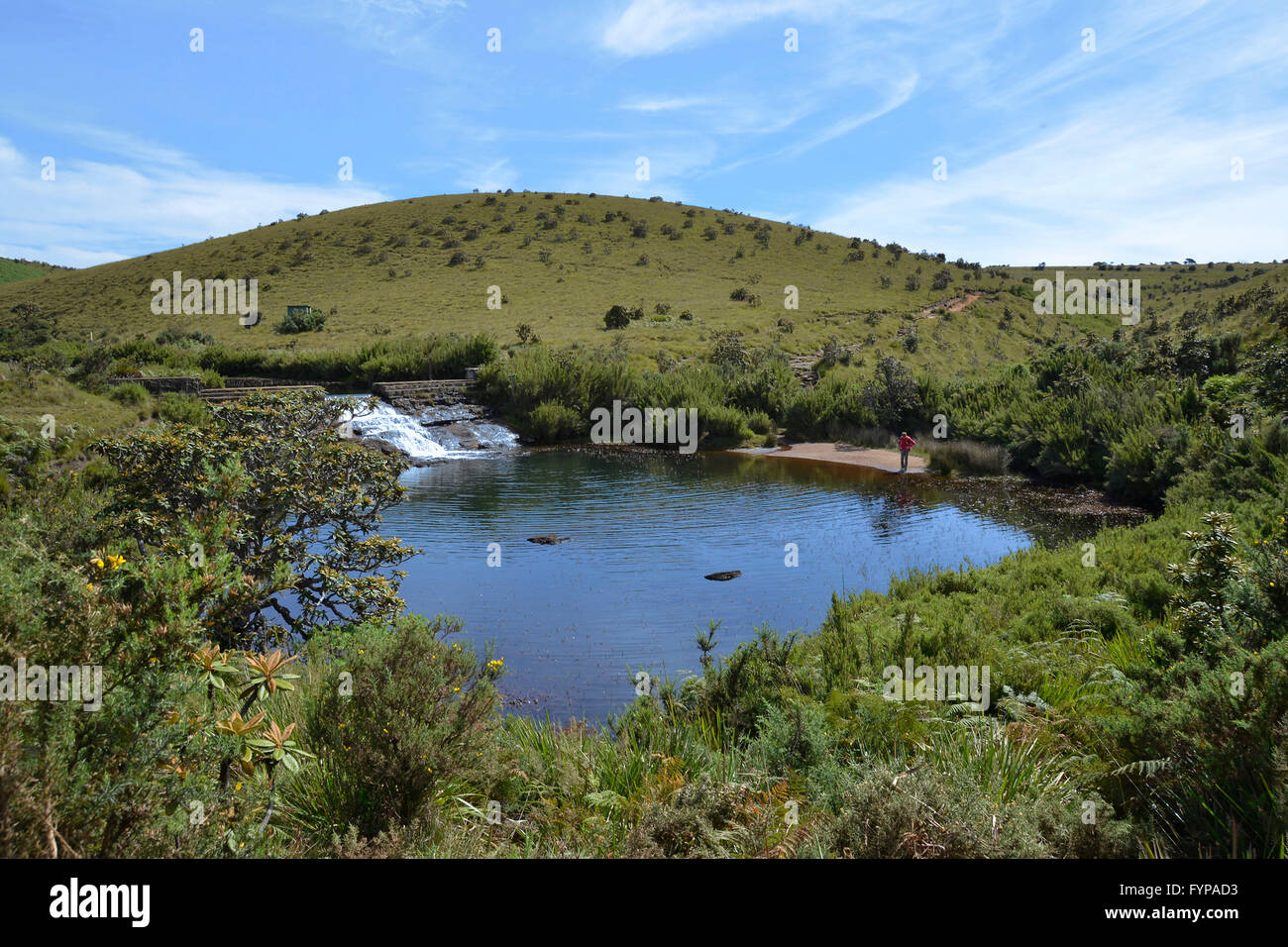 Cheminée extérieure, Horton Plains, Sri Lanka Banque D'Images