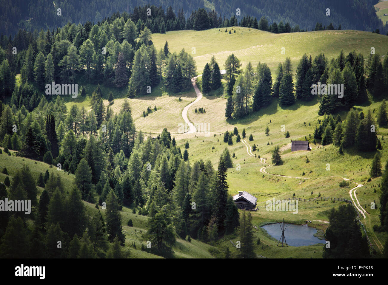 Verte vallée alpine Banque D'Images