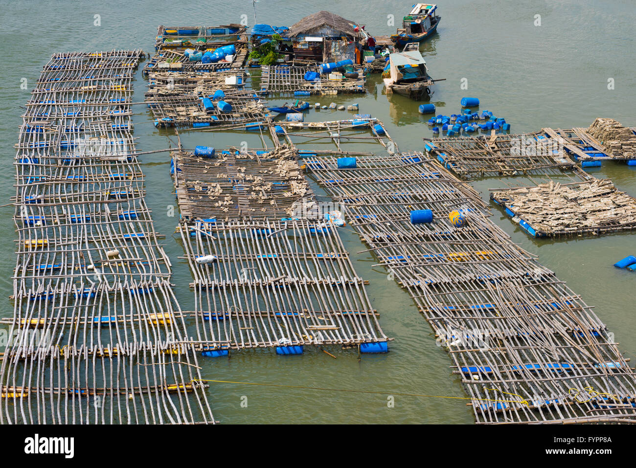 Ferme d'élevage de poissons dans le sud du Vietnam Banque D'Images