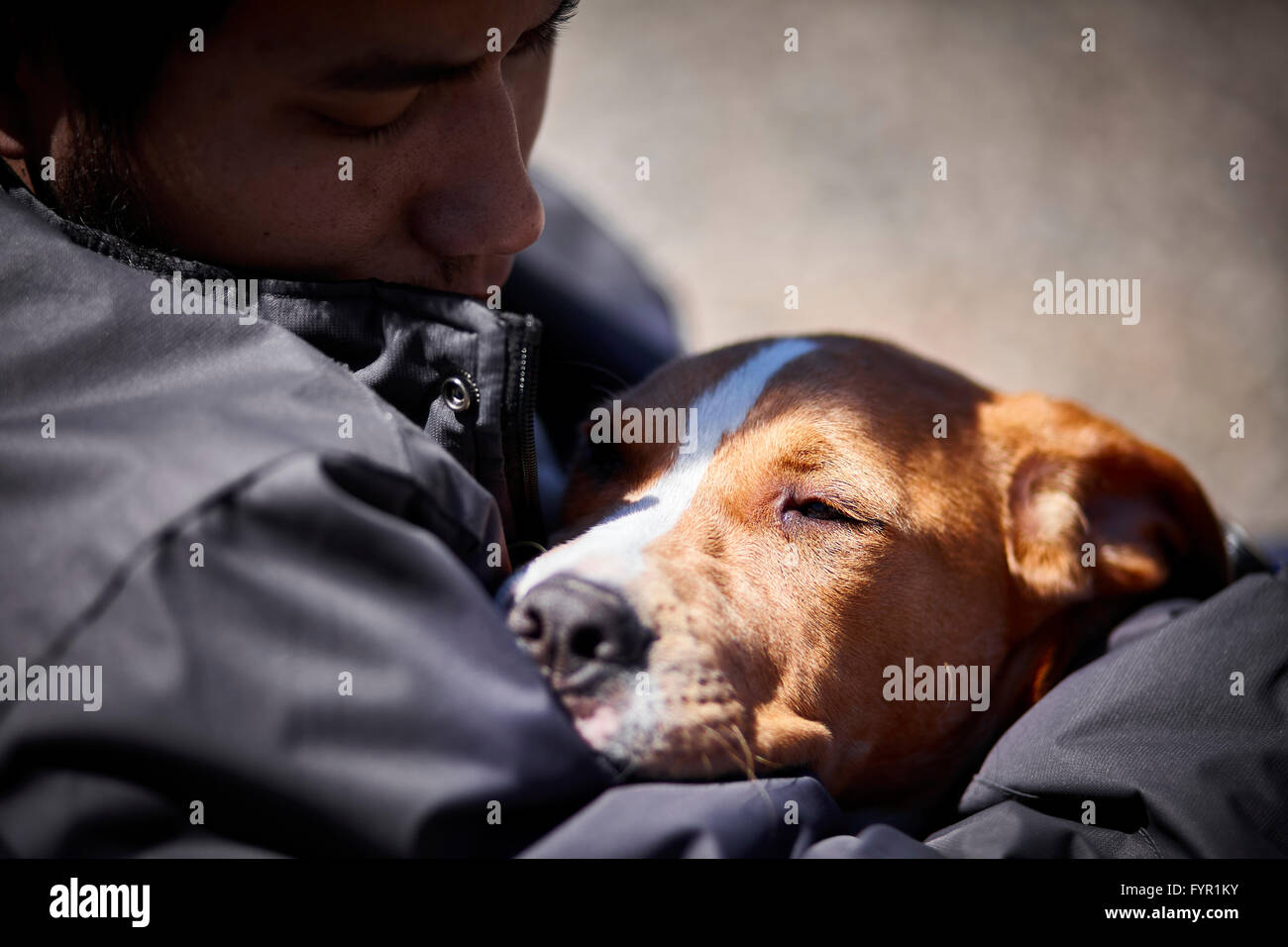 Sleepy man holding puppy dog closeup portrait lumière naturelle Banque D'Images